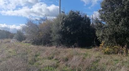 Land of 768 m² in Telti (07020)