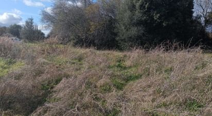 Land of 768 m² in Telti (07020)