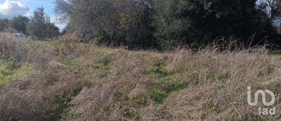 Terreno di 768 m² in Telti (07020)