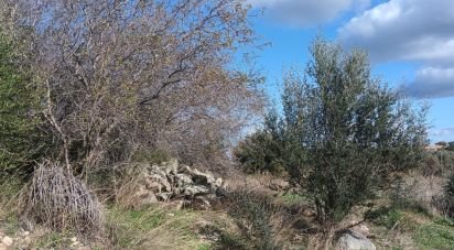 Land of 768 m² in Telti (07020)