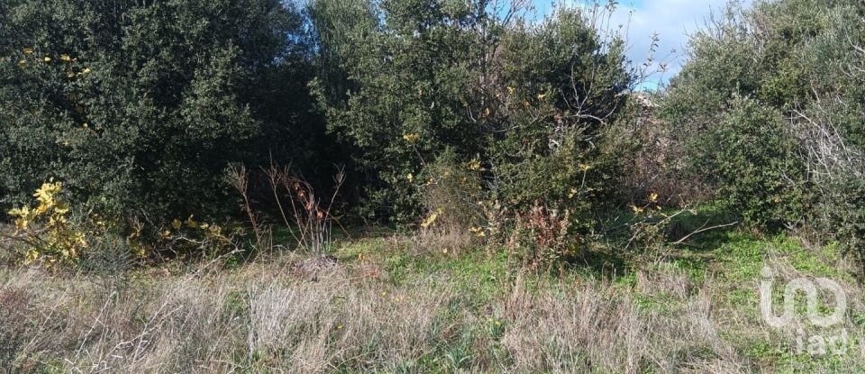 Terreno di 768 m² in Telti (07020)