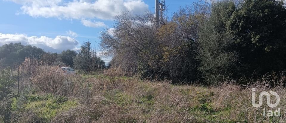 Terreno di 768 m² in Telti (07020)