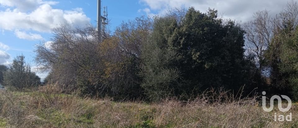 Terreno di 768 m² in Telti (07020)