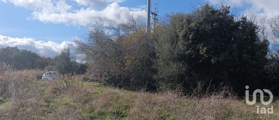 Terreno di 768 m² in Telti (07020)