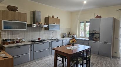 Appartamento 5 locali di 95 m² a Nocera Terinese (88040)