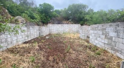 Terreno di 22.000 m² in Olbia (07026)