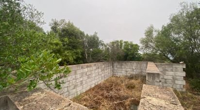 Terreno di 22.000 m² in Olbia (07026)