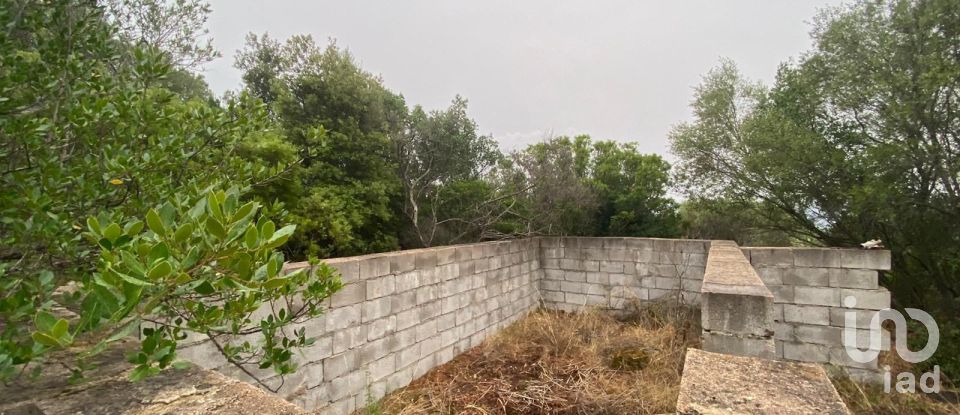 Terreno di 22.000 m² in Olbia (07026)