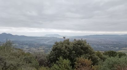 Terreno di 22.000 m² in Olbia (07026)