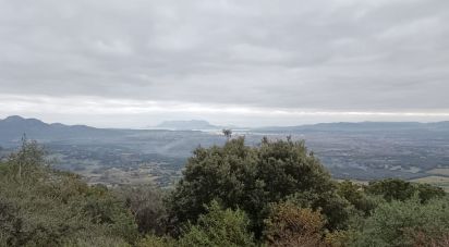 Land of 22,000 m² in Olbia (07026)