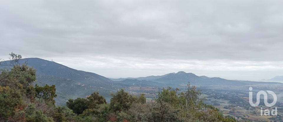 Terreno di 22.000 m² in Olbia (07026)