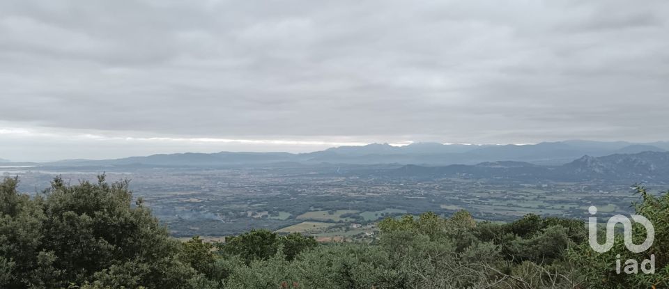 Terreno di 22.000 m² in Olbia (07026)