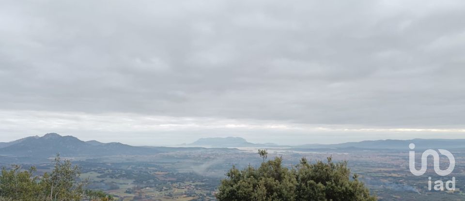 Terreno di 22.000 m² in Olbia (07026)