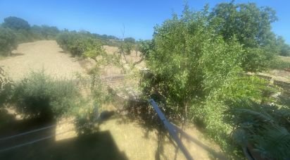 Casale 7 locali di 258 m² in Colonnella (64010)