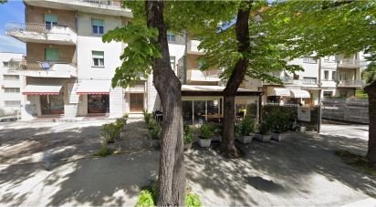 Bar di 125 m² in Matelica (62024)