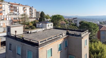 Casa indipendente 12 locali di 480 m² in Osimo (60027)