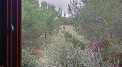 Bilocale di 50 m² a Santa Teresa Gallura (07028)