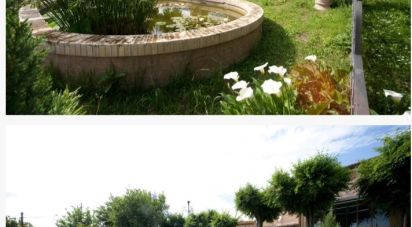 Casale 38 locali di 1.400 m² in Treia (62010)