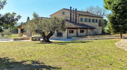 Casale 20 locali di 820 m² in Monte San Vito (60037)