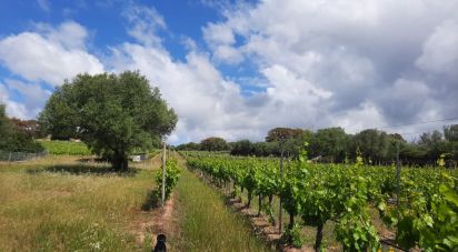 Land of 118,743 m² in Telti (07020)