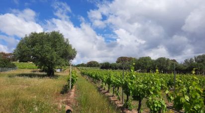 Land of 118,743 m² in Telti (07020)