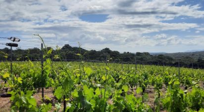 Land of 118,743 m² in Telti (07020)