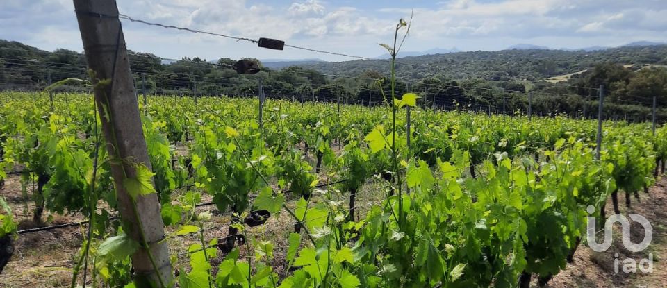 Terreno di 118.743 m² in Telti (07020)