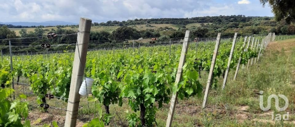 Terreno di 118.743 m² in Telti (07020)