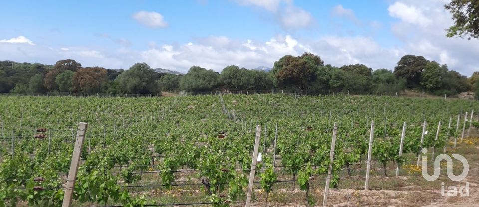 Terreno di 118.743 m² in Telti (07020)