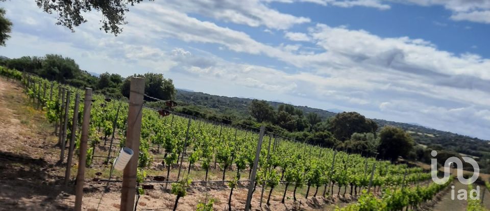 Terreno di 118.743 m² in Telti (07020)