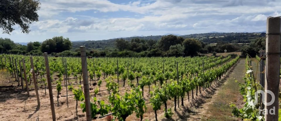 Terreno di 118.743 m² in Telti (07020)