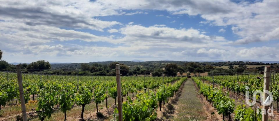 Terreno di 118.743 m² in Telti (07020)