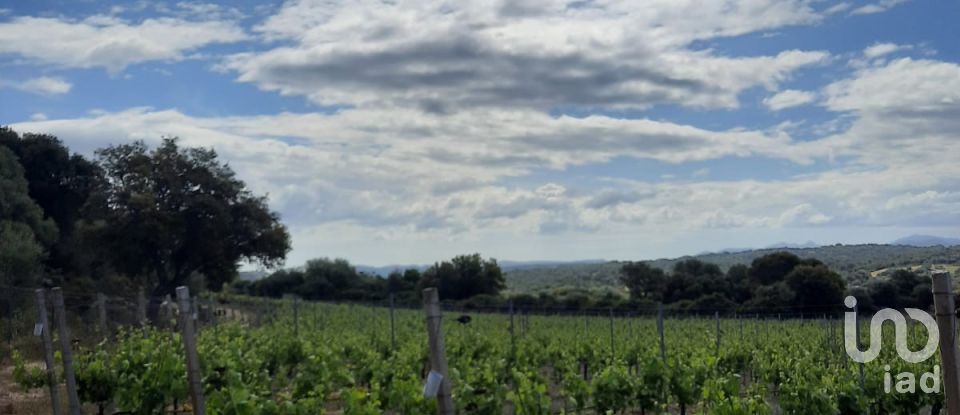 Terreno di 118.743 m² in Telti (07020)