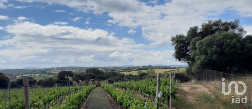 Terreno di 118.743 m² in Telti (07020)