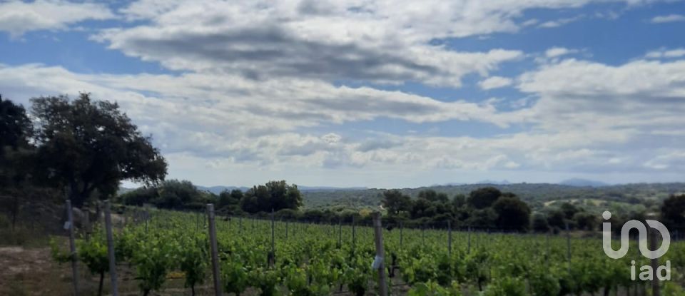 Terreno di 118.743 m² in Telti (07020)