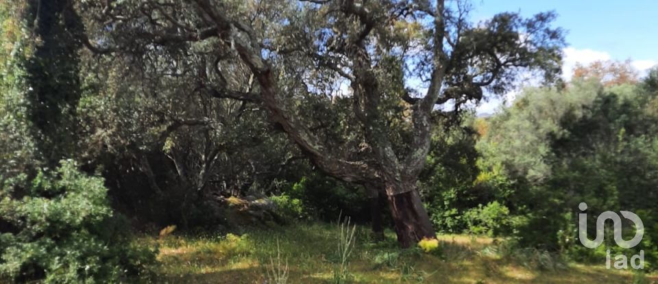 Terreno di 118.743 m² in Telti (07020)