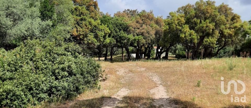 Terreno di 118.743 m² in Telti (07020)