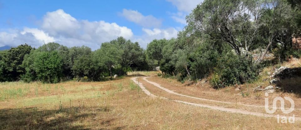 Terreno di 118.743 m² in Telti (07020)