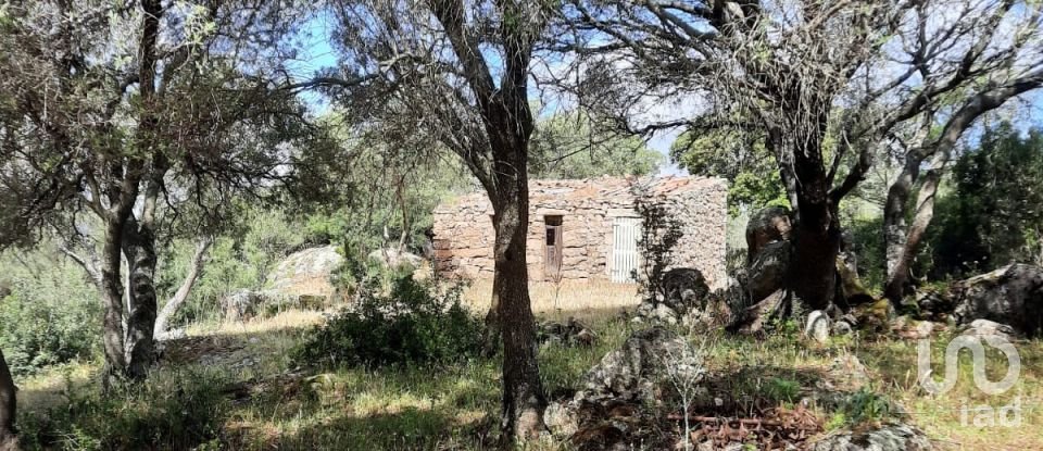 Terreno di 118.743 m² in Telti (07020)