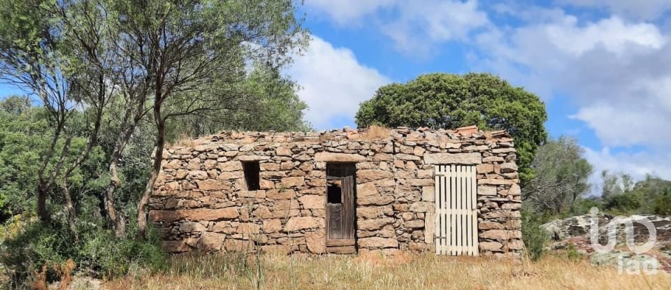 Terreno di 118.743 m² in Telti (07020)