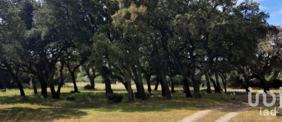 Terreno di 118.743 m² in Telti (07020)