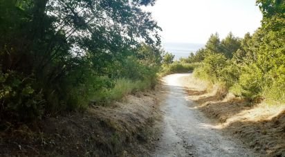 Terreno di 66.628 m² in Sirolo (60020)