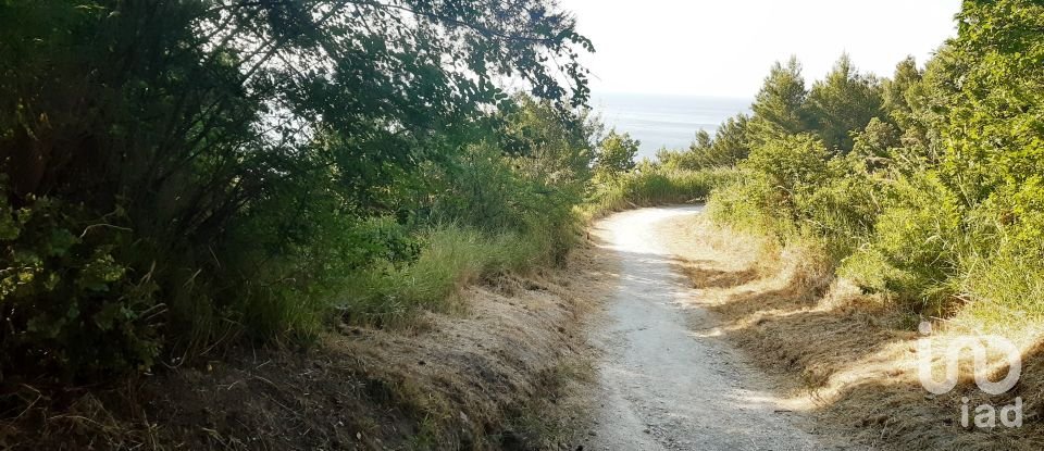 Terreno di 66.628 m² in Sirolo (60020)