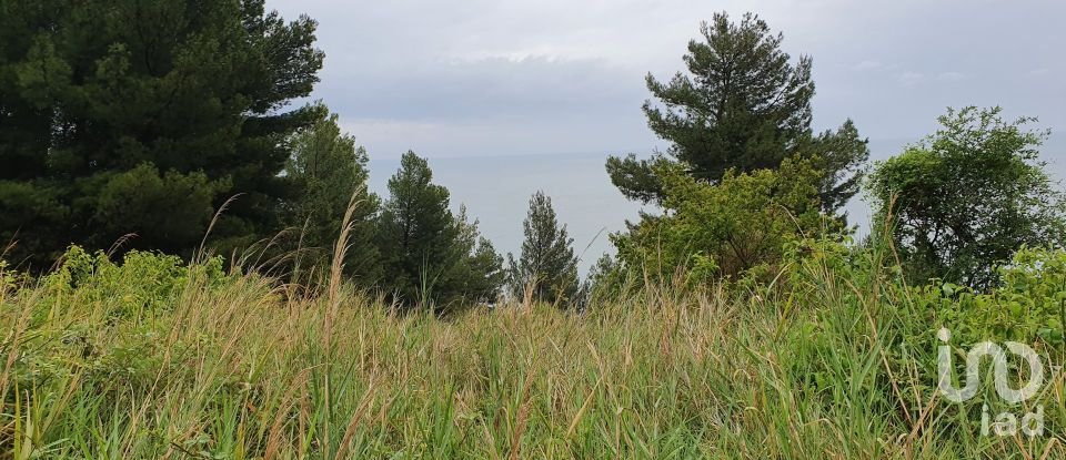 Terreno di 66.628 m² in Sirolo (60020)