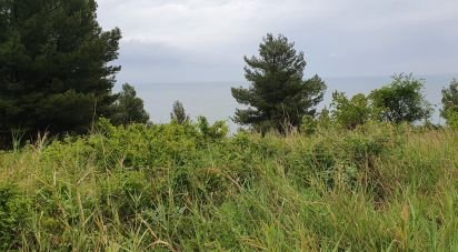 Terreno di 66.628 m² in Sirolo (60020)