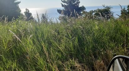 Terreno di 66.628 m² in Sirolo (60020)