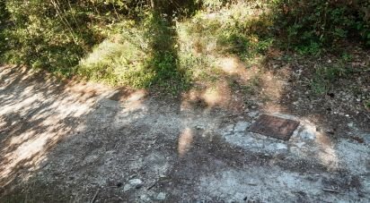 Terreno di 66.628 m² in Sirolo (60020)