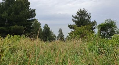Terreno di 66.628 m² in Sirolo (60020)