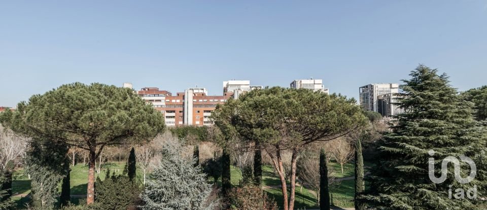 Apartment 7 rooms of 250 m² in Roma (00142)