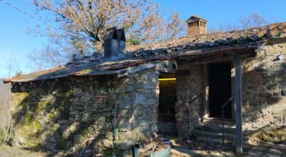 Country home 5 rooms of 125 m² in Borgo San Lorenzo (50032)